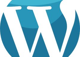 Is WordPress the Best Option for Business Websites?